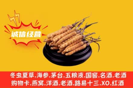 林芝市察隅回收冬虫夏草